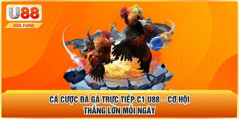 Cá Cược Đá Gà Trực Tiếp C1 U88 – Cơ Hội Thắng Lớn Mỗi Ngày