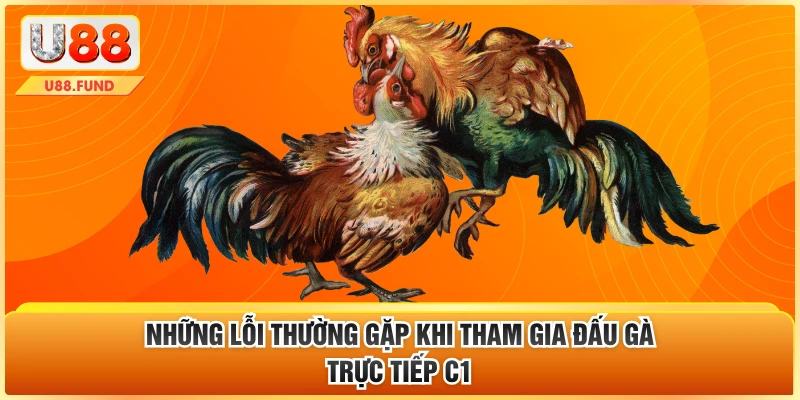 Những lỗi thường gặp khi tham gia đấu gà trực tiếp c1