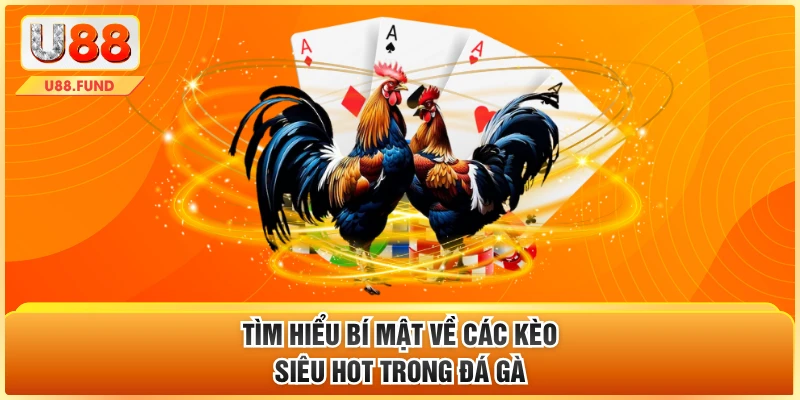 Tìm hiểu bí mật về các kèo siêu hot trong đá gà